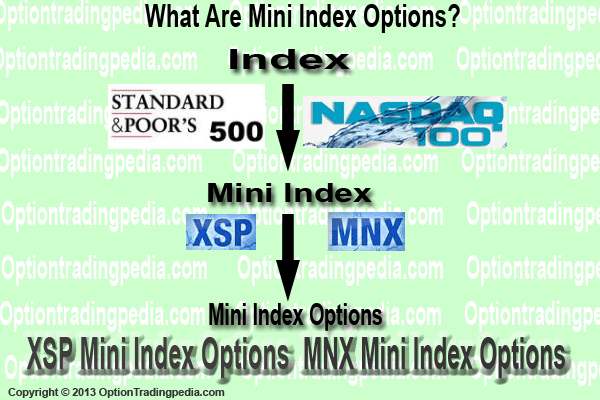 What Are Mini Index Options